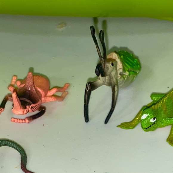 Turtles, Frogs,Birds, Gators, Snakes, Sealife, Horse, Giraffes, Penguin,Hippos, - Picture 11 of 12